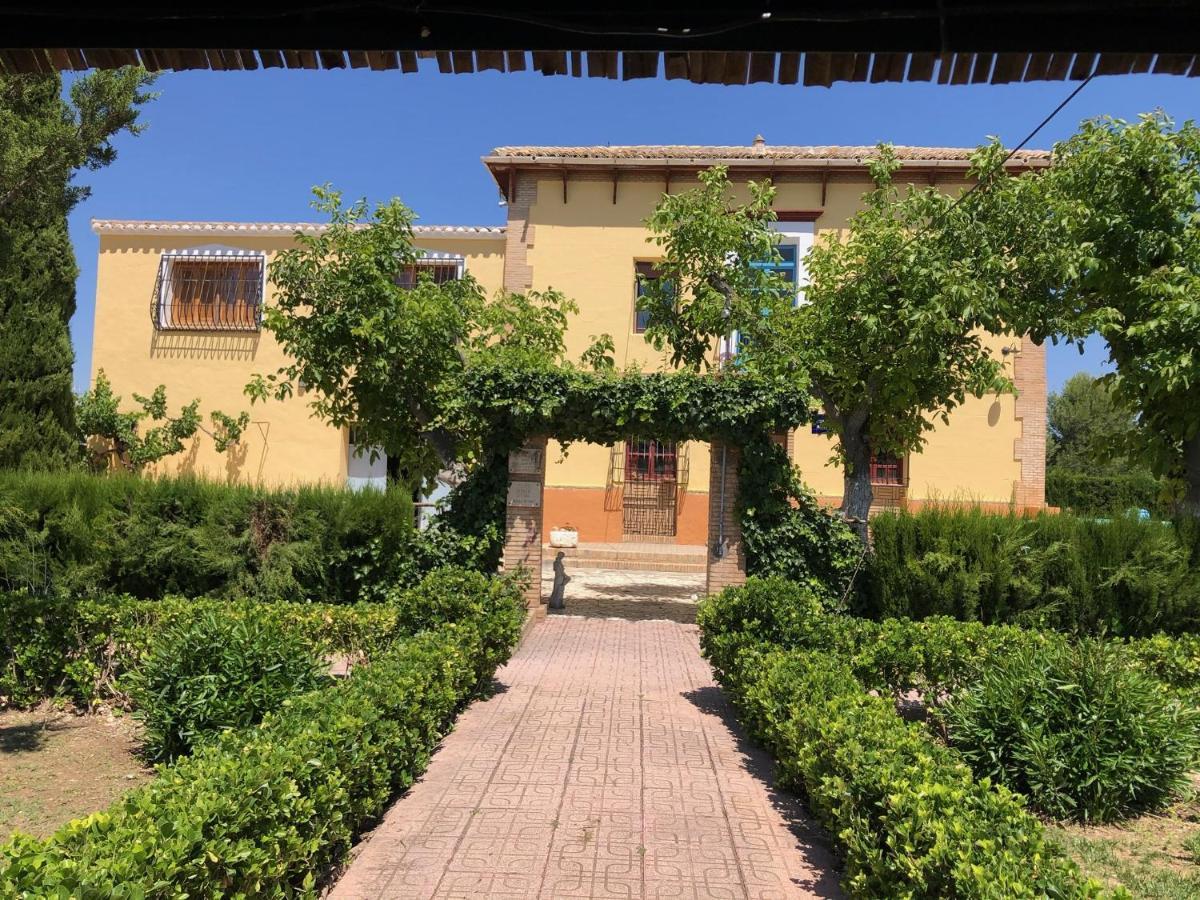 ييكلا Casa Rural Finca Juanamare المظهر الخارجي الصورة
