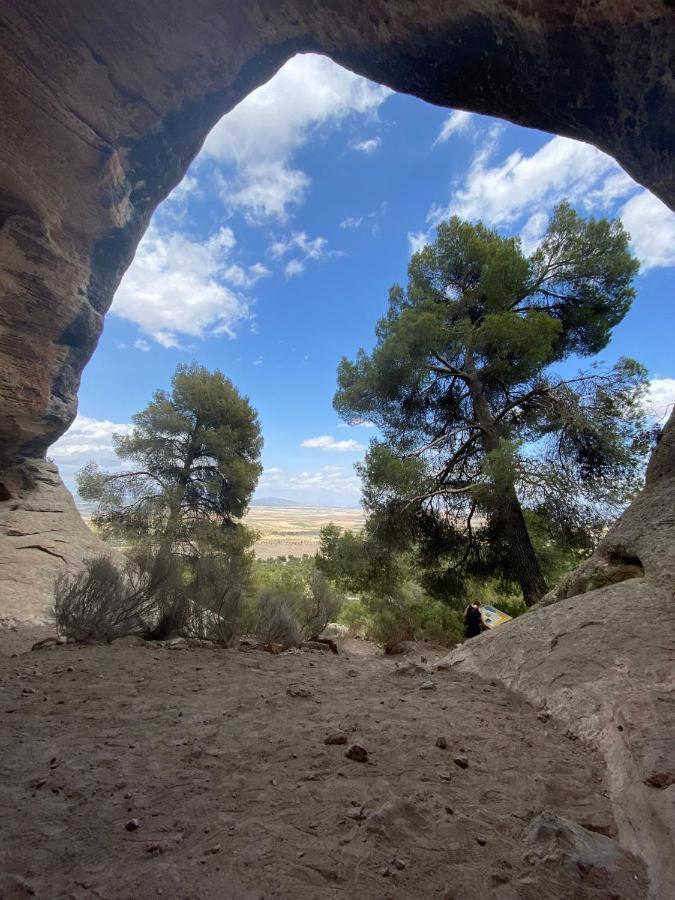 ييكلا Casa Rural Finca Juanamare المظهر الخارجي الصورة